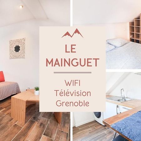 Le Mainguet - Appartement Cosy - Γκρενόμπλ Εξωτερικό φωτογραφία