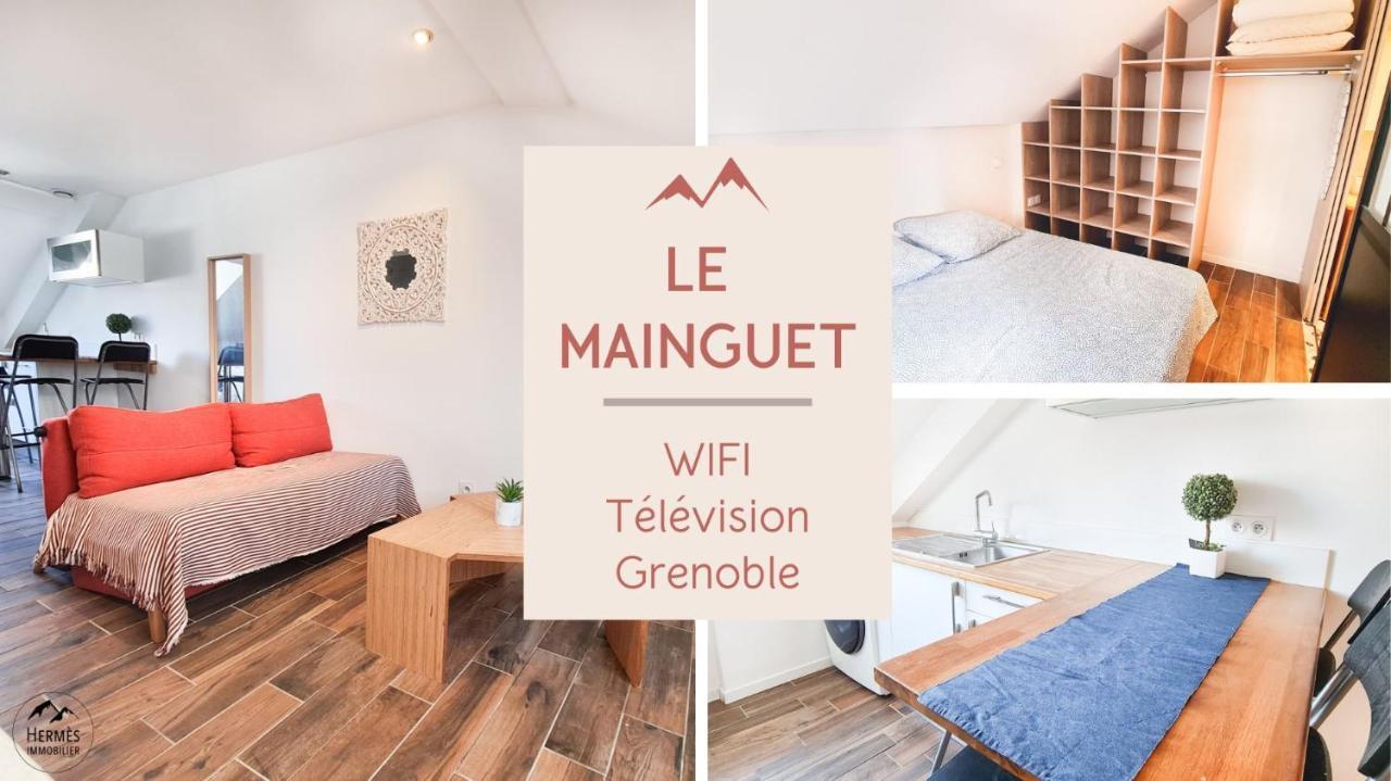 Le Mainguet - Appartement Cosy - Γκρενόμπλ Εξωτερικό φωτογραφία